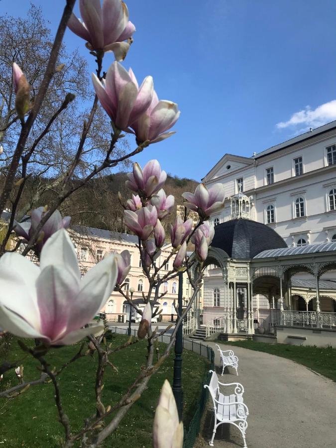 Apartment Sadova Karlovy Vary Dış mekan fotoğraf